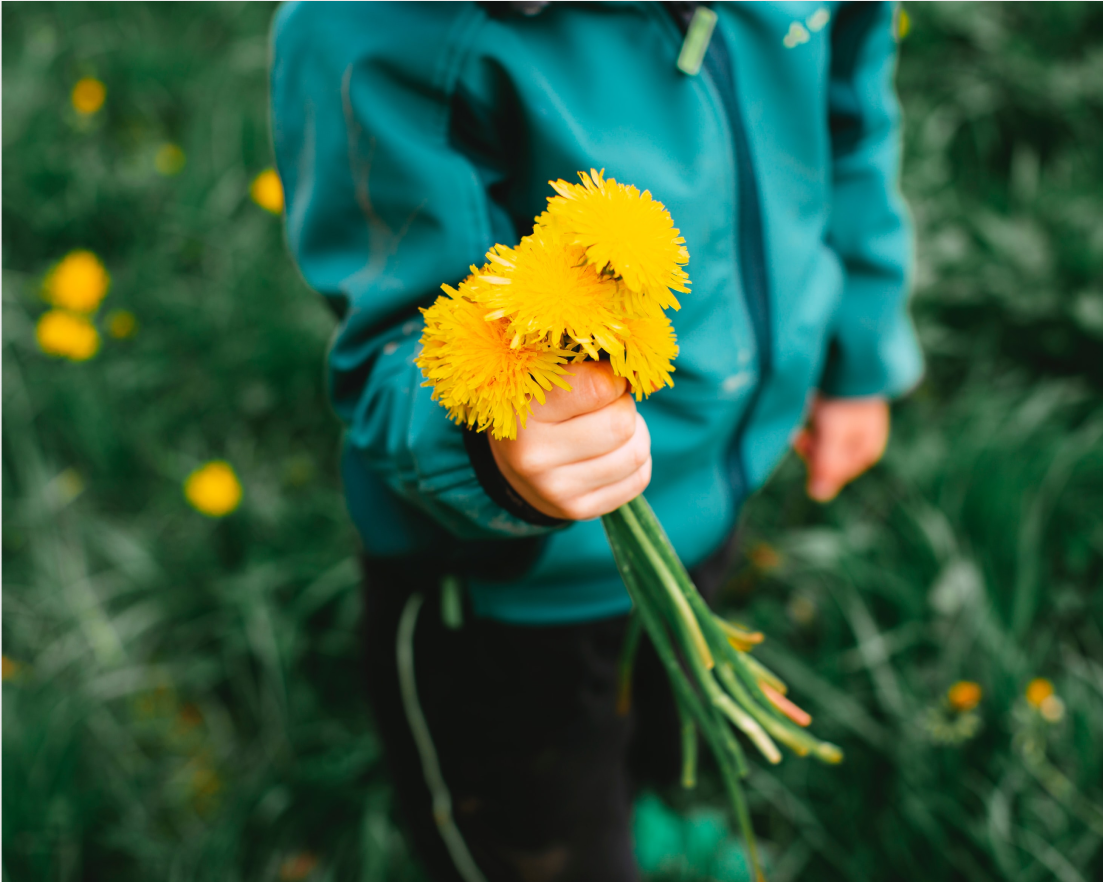 O desenvolvimento cognitivo e as desigualdades no Brasil