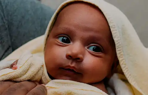 annual-report-2024-fmcsv